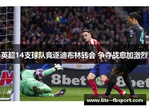 英超14支球队竞逐迪布林转会 争夺战愈加激烈