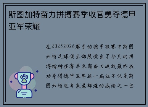 斯图加特奋力拼搏赛季收官勇夺德甲亚军荣耀
